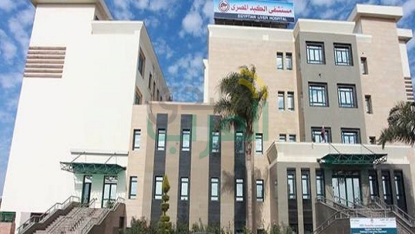 شيحة: نقترب من تحقيق حلم الرئيس بمصر خالية من فيروس "سي"