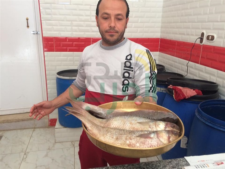 بالصور.. محلات الفسيخ بكفر الشيخ تستعد لشم النسيم