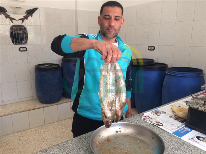 بالصور.. محلات الفسيخ بكفر الشيخ تستعد لشم النسيم