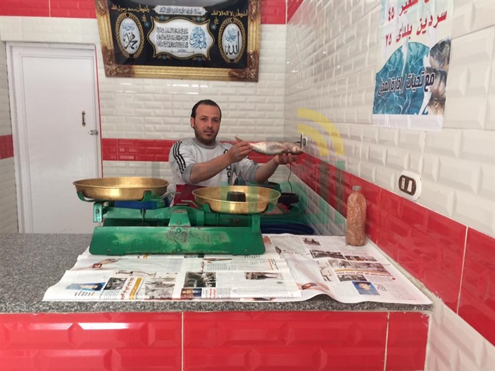 بالصور.. محلات الفسيخ بكفر الشيخ تستعد لشم النسيم