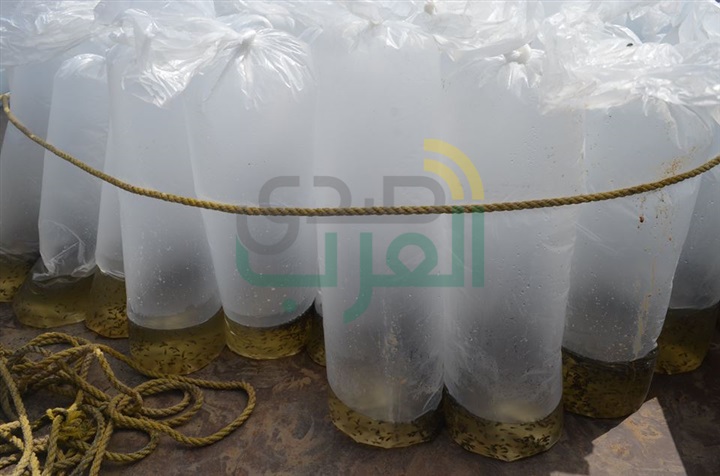 بالصور.. محافظ كفر الشيخ يضبط سيارة بلوحات "مزورة" تهرب "أسماك"