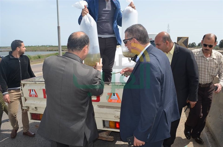 بالصور.. محافظ كفر الشيخ يضبط سيارة بلوحات "مزورة" تهرب "أسماك"