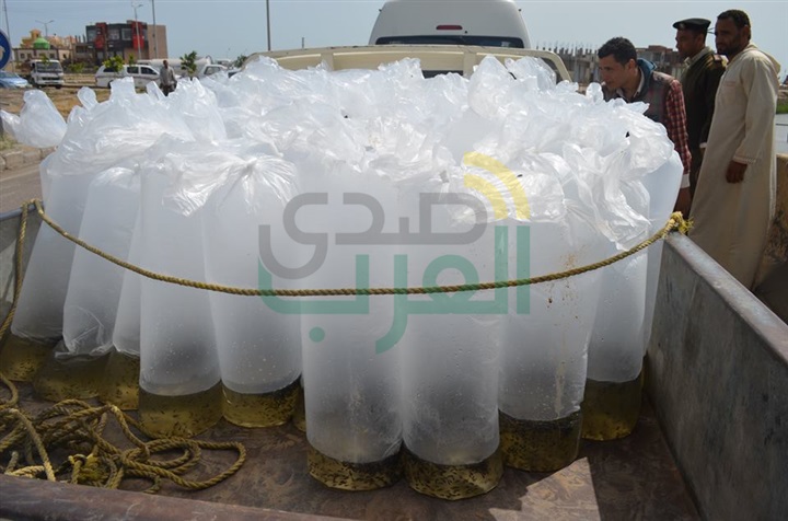 بالصور.. محافظ كفر الشيخ يضبط سيارة بلوحات "مزورة" تهرب "أسماك"