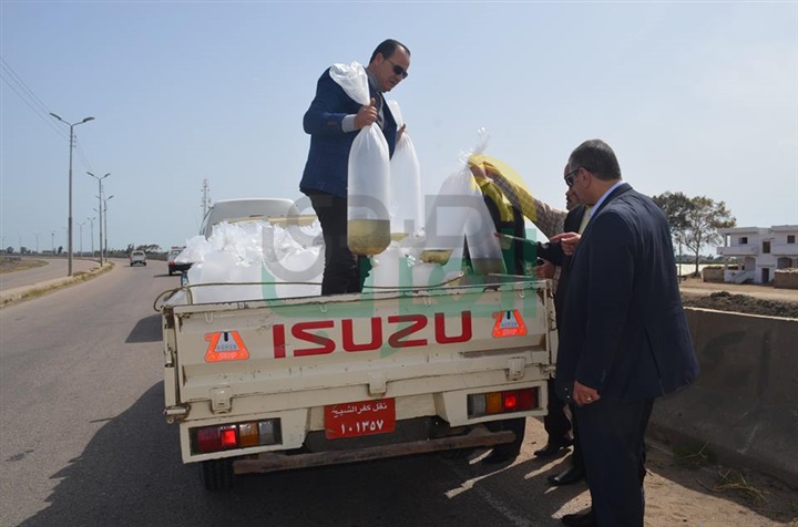 بالصور.. محافظ كفر الشيخ يضبط سيارة بلوحات "مزورة" تهرب "أسماك"