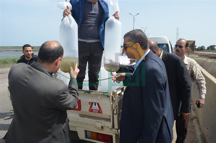 بالصور.. محافظ كفر الشيخ يضبط سيارة بلوحات "مزورة" تهرب "أسماك"