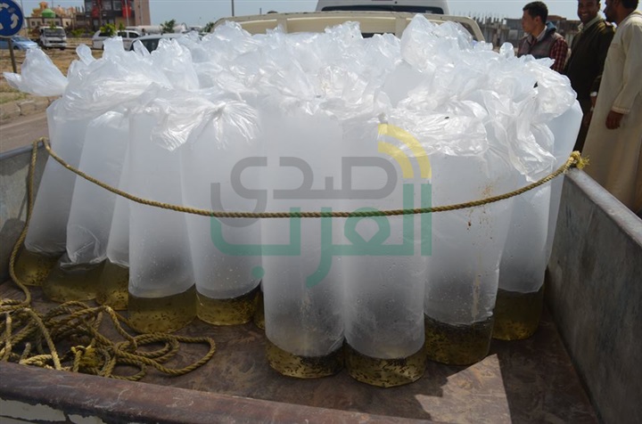 بالصور.. محافظ كفر الشيخ يضبط سيارة بلوحات "مزورة" تهرب "أسماك"