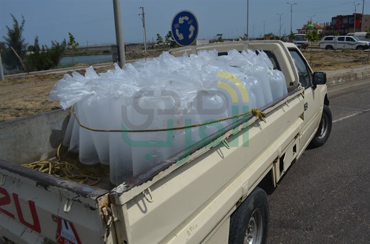 بالصور.. محافظ كفر الشيخ يضبط سيارة بلوحات "مزورة" تهرب "أسماك"