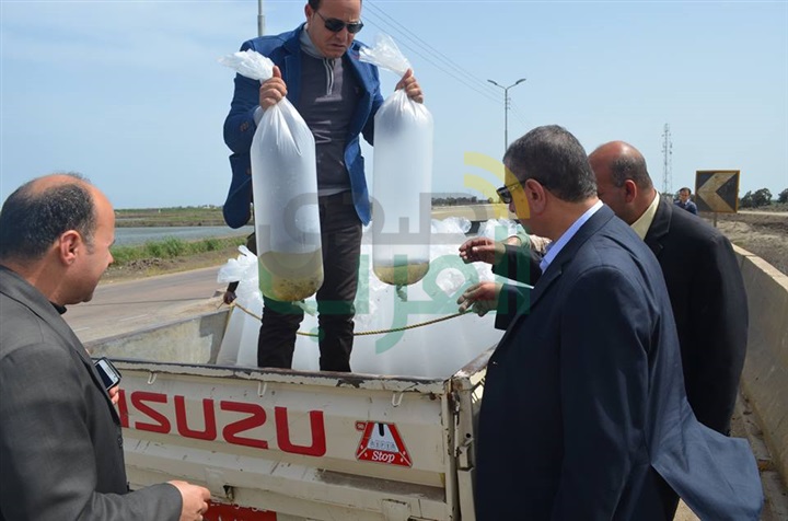 بالصور.. محافظ كفر الشيخ يضبط سيارة بلوحات "مزورة" تهرب "أسماك"