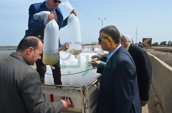 بالصور.. محافظ كفر الشيخ يضبط سيارة بلوحات "مزورة" تهرب "أسماك"