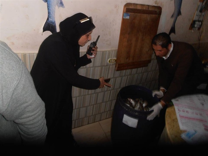 بالصور .. ضبط كميات من الفسيخ والسردين الفاسد فى كفر الشيخ