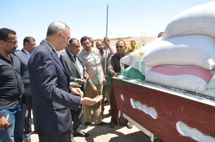 بالصور.. انطلاق موسم توريد القمح بمحافظة قنا 