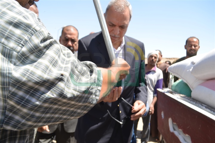 بالصور.. انطلاق موسم توريد القمح بمحافظة قنا 
