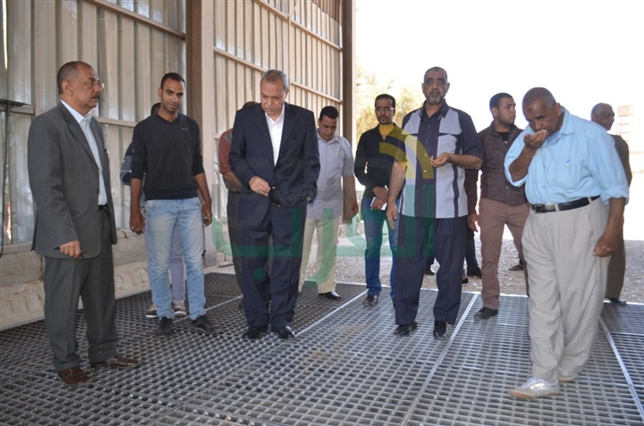بالصور.. انطلاق موسم توريد القمح بمحافظة قنا 