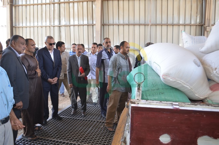 بالصور.. انطلاق موسم توريد القمح بمحافظة قنا 