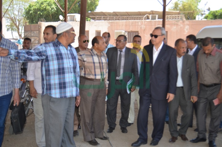 بالصور.. انطلاق موسم توريد القمح بمحافظة قنا 