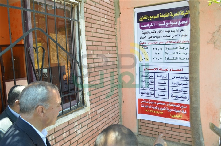 بالصور.. انطلاق موسم توريد القمح بمحافظة قنا 