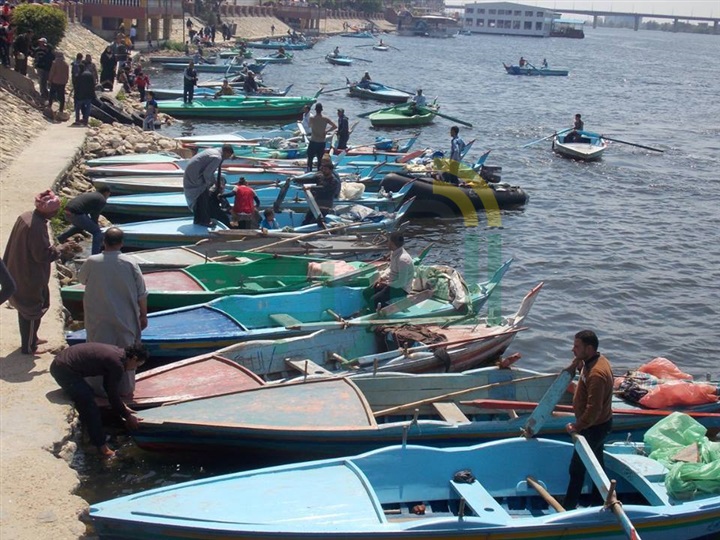 بالصور.. "نصر": خروج المواطنين للاحتفال بأعياد الربيع دليل علي الأمن والأمان