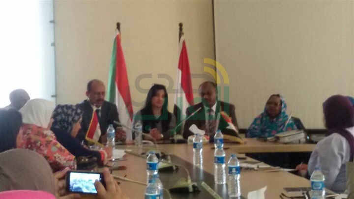 قنصل السودان: عمل شراكة مصرية سودانية يتخللها اتصال مباشر بين البلدين