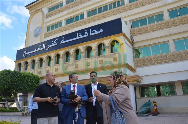 بالفيديو والصور.. محافظ كفر الشيخ يأمر برعاية "نسر نادر"