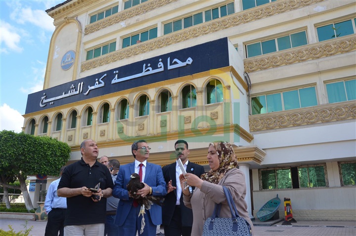 بالفيديو والصور.. محافظ كفر الشيخ يأمر برعاية "نسر نادر"