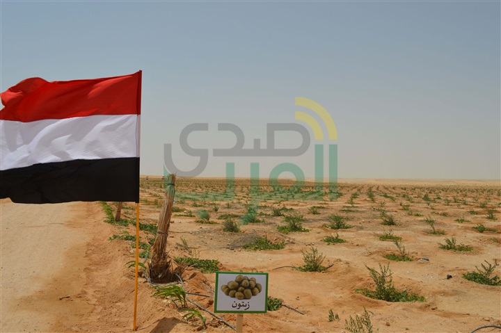 جنوب سيناء.. جهود متواصلة للقوات المسلحة في التنمية جنوب سيناء.. جهود متواصلة للقوات المسلحة في التنمية