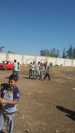 بالصور.. صفقات بالآف الجنيهات في سوق الكلاب في "بيلا" بكفر الشيخ