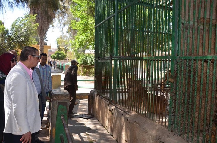 بالصور..محافظ كفرالشيخ يمنح 13 رحلة عمرة لأمهات الأيتام
