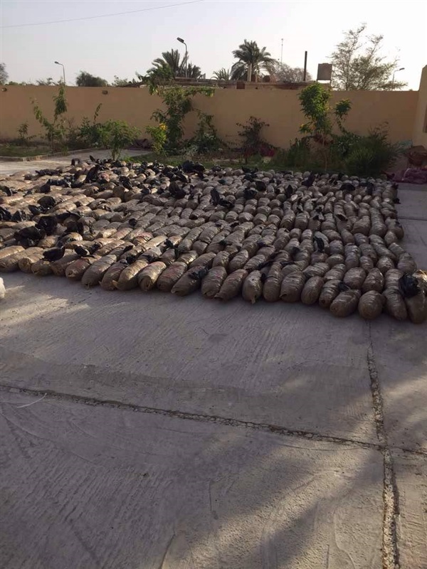 بالصور.. القبض على 5 مشتبهين بهم وتدمير 3 أوكار للإرهابيين بسيناء