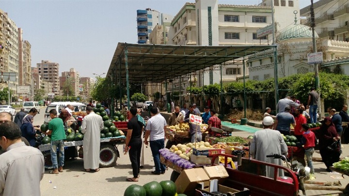 بالصور .. الحمير والعربات الكارو تحتل مدخل مدينة بنها