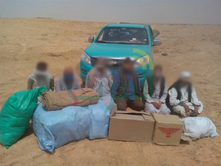 الجيش الثالث الميدانى يتمكن من ضبط (12) فرد مشتبه بهم و(4) دراجة نارية خاصة العناصر التكفيرية سيناء 