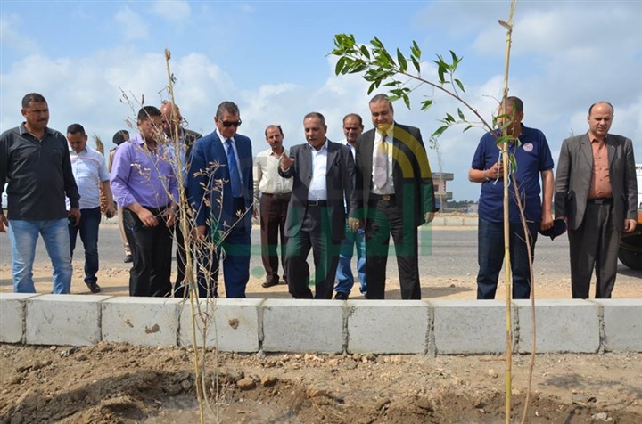 بالصور.. كفر الشيخ تنهي أعمال الإنارة وزرع الأشجار على طريق بركة غليون