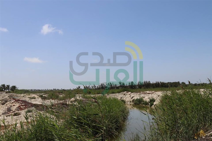 بالصور .. نائب وزير الزراعة: إعداد مشروع قانون لتغليظ عقوبة المعتدين علي بحيرة البرلس