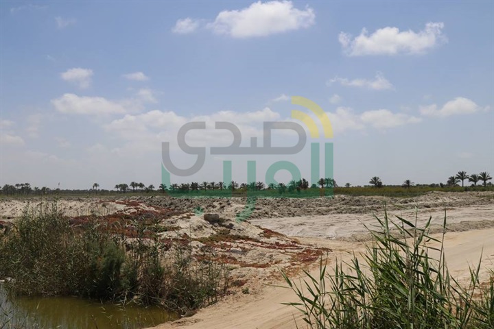 بالصور .. نائب وزير الزراعة: إعداد مشروع قانون لتغليظ عقوبة المعتدين علي بحيرة البرلس