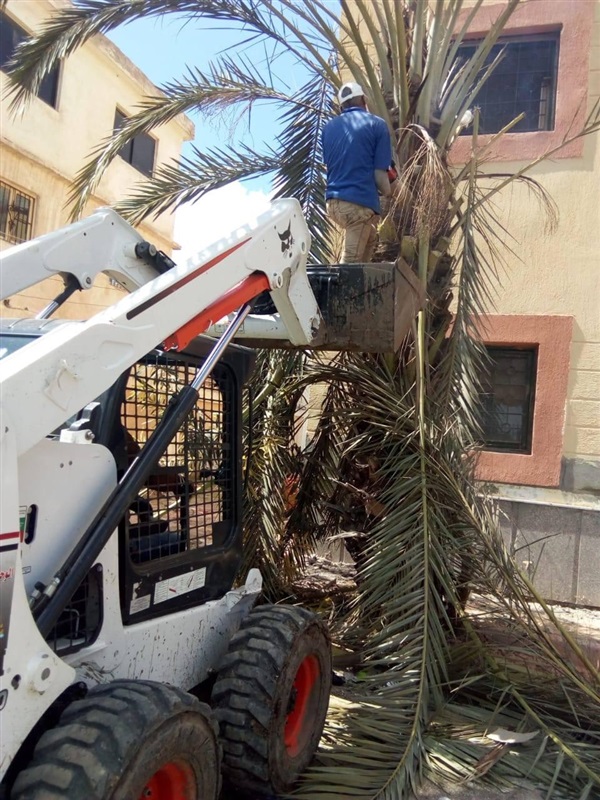 بالصور.. إستمرار حملات تطهير وتعقيم جميع شوارع مدن وقري كفر الشيخ
