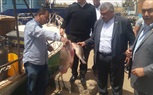 الزراعة تتابع أعمال صيد الأسماك  بمحافظة أسوان