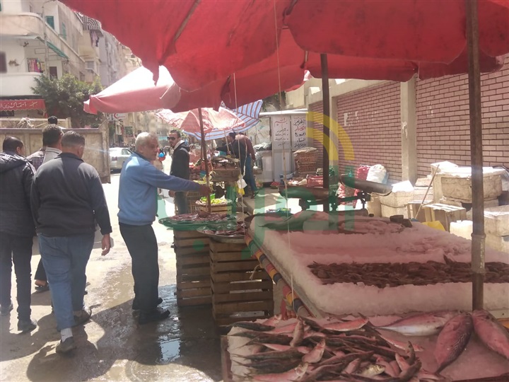 بالصور .. حملات على الأسواق بالإسكندرية لتنفيذ اجراءات الوقاية من كورونا