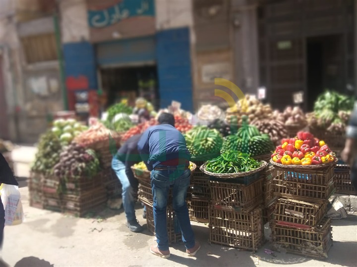 بالصور .. حملات على الأسواق بالإسكندرية لتنفيذ اجراءات الوقاية من كورونا