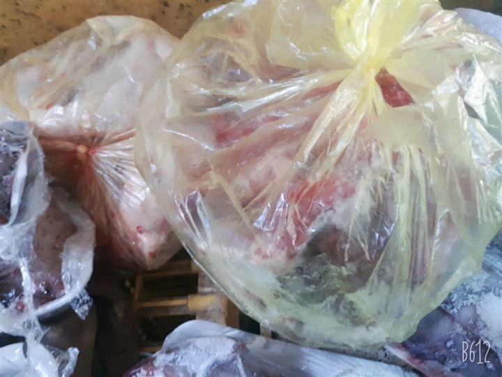 بالصور.. ضبط لحوم وكبدة «مجهولة المصدر» في حملة علي محال بيلا بكفر الشيخ