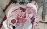 بالصور.. ضبط كميات من اللحوم مذبوحة خارج السلخانة في بيلا بكفر الشيخ