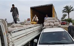 بالصور.. مستقبل وطن يوزع كراتين غذائية و100 طن بطاطس في كفر الشيخ 