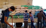 بالصور.. توريد 75 ألفا و870 طن قمح بصوامع كفر الشيخ