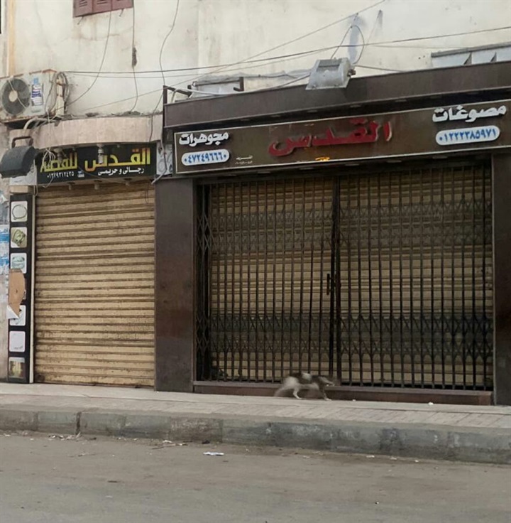 بالصور.. محافظ كفر الشيخ يتابع غلق المحال التجارية للوقاية من «كورونا»  