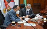 محافظ المنيا يتابع مع رئيس الوزراء الحالة الصحية بالمحافظة عبرالفيديوكونفرنس