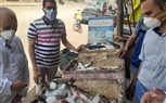 بالصور.. استمرار الحملات التموينية على المحلات والمخابز والأسواق العامة بكفر الشيخ