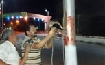 محافظ سوهاج يوجه باستغلال ساعات الحظر في أعمال التجميل ورفع كفاءة الكهرباء