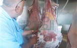 بالصور.. قبل العيد.. ضبط طن دواجن مجهولة المصدر وتشميع مجزر غير مرخص في بيلا بكفر الشيخ