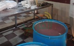 بالصور.. قبل العيد.. ضبط طن دواجن مجهولة المصدر وتشميع مجزر غير مرخص في بيلا بكفر الشيخ