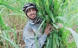 رئيس جنوب الوادي يستقبل 