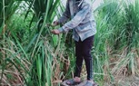 رئيس جنوب الوادي يستقبل 