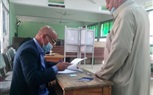 صور.. السيدات وكبار السن يلبون نداء الوطن في جولة الإعادة لانتخابات النواب بكفر الشيخ